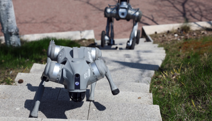 Building a “Compliant Supply Chain” Ahead of IPO: Lessons from Unitree Robotics